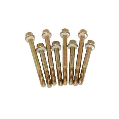 ADVANCED ENGINE DESIGN 5250 - 4160 Fuel Bowl Screws (8) image