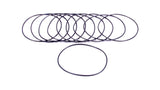 Filter O-Rings (10)