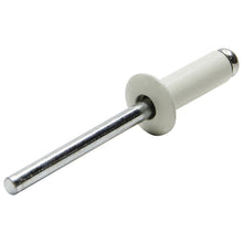 Load image into Gallery viewer, ALLSTAR PERFORMANCE 18001 - Sm Hd Rivet White 250pk  image