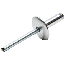 Load image into Gallery viewer, ALLSTAR PERFORMANCE 18010 - Lg Hd Rivet Silver 250pk  image