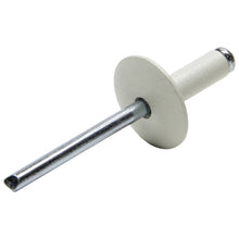 Load image into Gallery viewer, ALLSTAR PERFORMANCE 18011 - Lg Hd Rivet White 250pk  image
