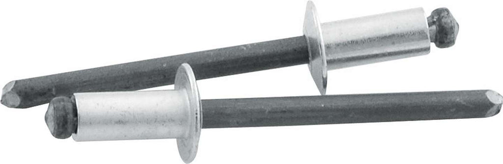 ALLSTAR PERFORMANCE 18101 - Sm Hd Rivet Silver 250pk  image