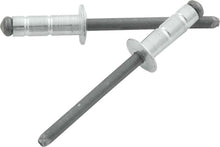 Load image into Gallery viewer, ALLSTAR PERFORMANCE 18110 - Sm Hd Rivet Silver 250pk Multi-grip image