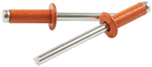 Load image into Gallery viewer, ALLSTAR PERFORMANCE 18137 - Sm Hd Rivet Orange Alum 250pk image