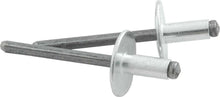 Load image into Gallery viewer, ALLSTAR PERFORMANCE 18141 - Lg Hd Rivet Silver 250pk  image