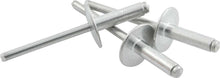 Load image into Gallery viewer, ALLSTAR PERFORMANCE 18153 - Lg Hd Rivet 250Pk Silver  image
