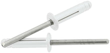 Load image into Gallery viewer, ALLSTAR PERFORMANCE 18185 - Md Hd Rivet 250Pk Silver Flange Type St Mandrel image