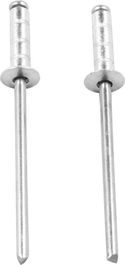 ALLSTAR PERFORMANCE 18198 - 1/8in Alum Rivet Silver 250Pk Multi-Grip image
