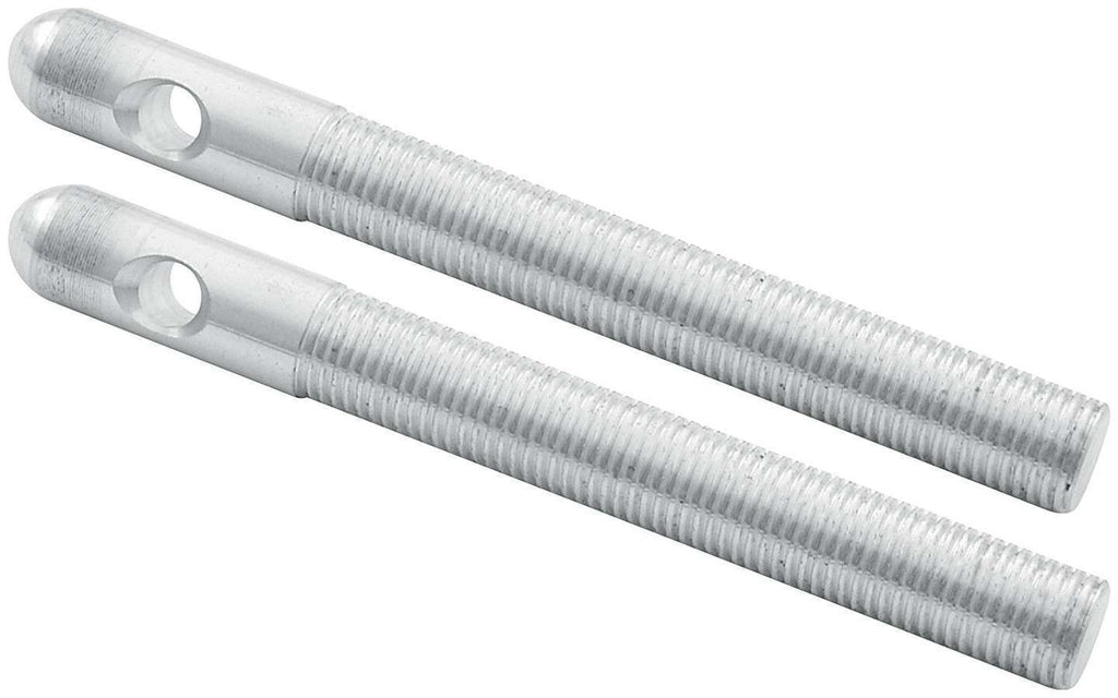 ALLSTAR PERFORMANCE 18487-10 - Repl Aluminum Pins 3/8in Silver 10pk image