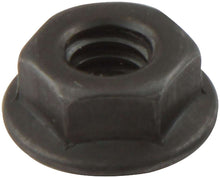 Load image into Gallery viewer, ALLSTAR PERFORMANCE 18555 - Spin Lock Nuts 10pk Black image