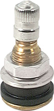 Load image into Gallery viewer, ALLSTAR PERFORMANCE 44134-10 - Brass Valve Stems Bolt In 10pk image