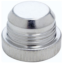 Load image into Gallery viewer, ALLSTAR PERFORMANCE 50837 - -16 Aluminum Plugs 10pk  image