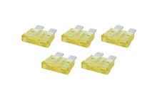 Load image into Gallery viewer, ALLSTAR PERFORMANCE 76367 - ATC/ATO Fuse 20 Amp 5pk image