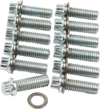 Load image into Gallery viewer, ALLSTAR PERFORMANCE 87010 - Intake Bolt Kit SBC 12PT 12pk image