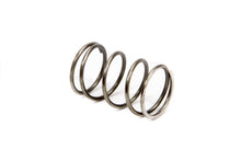 Load image into Gallery viewer, BERT TRANSMISSIONS 64 - Spring                    image