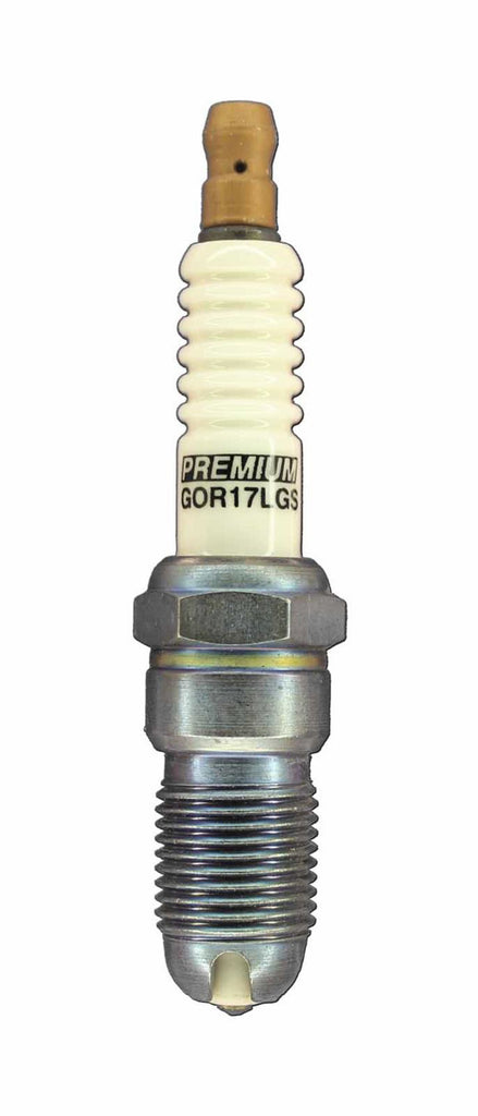 BRISK RACING SPARK PLUGS GOR17LGS - Spark Plug Premium Racing image