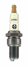 Load image into Gallery viewer, BRISK RACING SPARK PLUGS LR10SL - Spark Plug Silver Racing  image