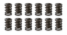 Load image into Gallery viewer, COMP CAMS 26911-12 - Valve Spring Set  image