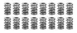Valve Spring Set
