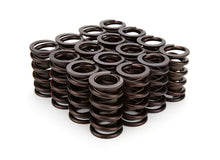 Load image into Gallery viewer, COMP CAMS 941HP-16 - 1.269 Dia HP Valve Spring Set image