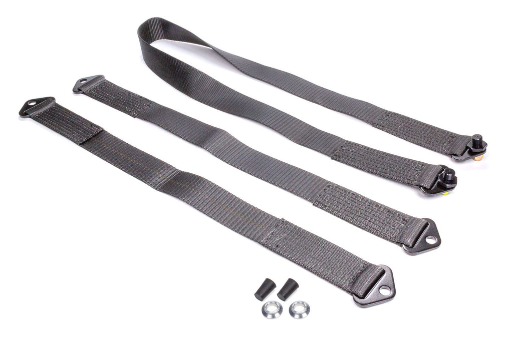 CROW SAFETY GEAR SP-54 - Tethers For Sprint Car Wing Chassis image