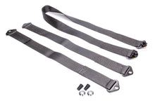 Load image into Gallery viewer, CROW SAFETY GEAR SP-54 - Tethers For Sprint Car Wing Chassis image