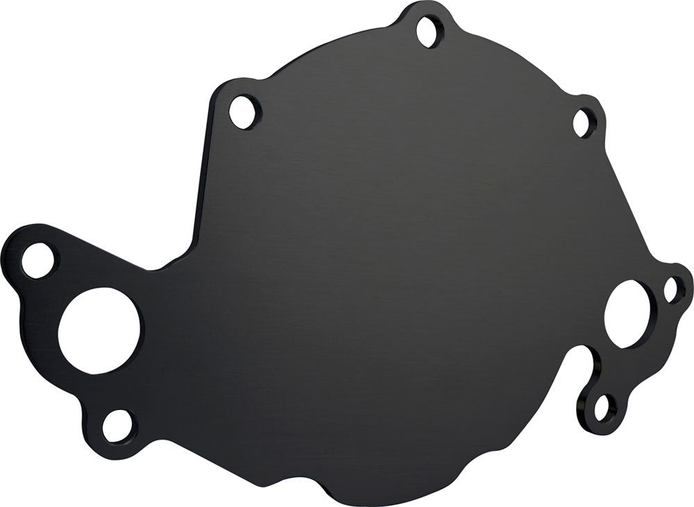CVR PERFORMANCE 65022BK - Back Plate Water Pump - SBF Black image