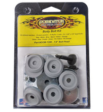 Load image into Gallery viewer, DOMINATOR RACE PRODUCTS 1200-B-GRY - Body Bolt Kit Gray Hex Head image
