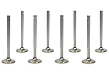 Load image into Gallery viewer, FERREA F1477P-8 - SBC C/P 1.600 Exhaust Valves 11/32 5.300 OAL image
