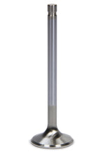 Load image into Gallery viewer, FERREA F1811P-1 - SBC C/P 1.600 Exhaust Valve image