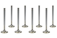 Load image into Gallery viewer, FERREA F2302P-8 - SBC C/P 1.600 Exhaust Valves 5/16  5.160 OAL image