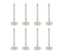 Load image into Gallery viewer, FERREA F6314-8 - Ford C/6 1.262 Exhaust Valves 5.0L DOHC 32V image