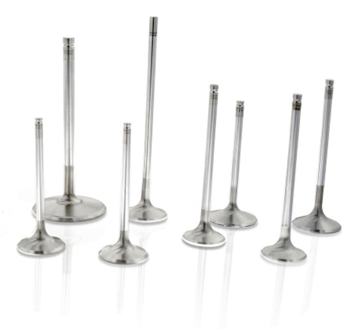 FERREA F6316-8 - SBC C/6 1.600 Exhaust Valves 5/16 5.060 OAL image