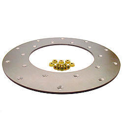 FIDANZA ENGINEERING 221101 - Flywheel Insert Plate  image