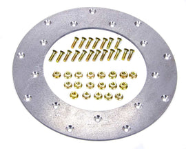 FIDANZA ENGINEERING 229501 - Flywheel Insert Plate  image