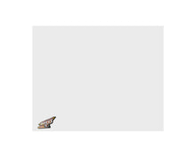 Load image into Gallery viewer, FIVESTAR 34000-35851-W - Nose Filler Panel MD3 DLM White image