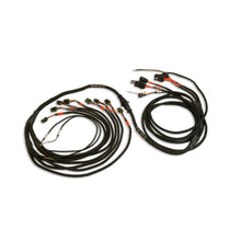 Load image into Gallery viewer, FUELTECH USA 2002100109 - PRO550/600 Ford V8 Smart Coil Complete Harness image