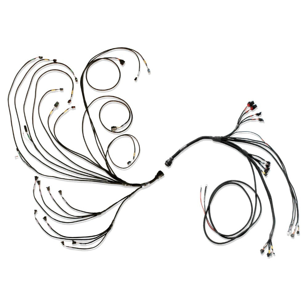 FUELTECH USA 3026109080 - PRO600 V8 Complete Wiring Harness image