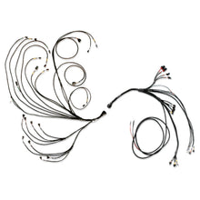 Load image into Gallery viewer, FUELTECH USA 3026109080 - PRO600 V8 Complete Wiring Harness image