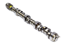 Load image into Gallery viewer, CHEVROLET PERFORMANCE 24502586 - SBC Hyd. Roller Camshaft Fastburn. image