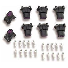 Load image into Gallery viewer, HOLLEY 534-112 - Delphi Injector Terminal &amp; Connector Kit 8pk image