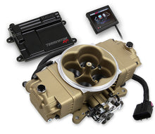 Load image into Gallery viewer, HOLLEY 550-444K - Terminator Stealth EFI Master Kit  Classic Gold image