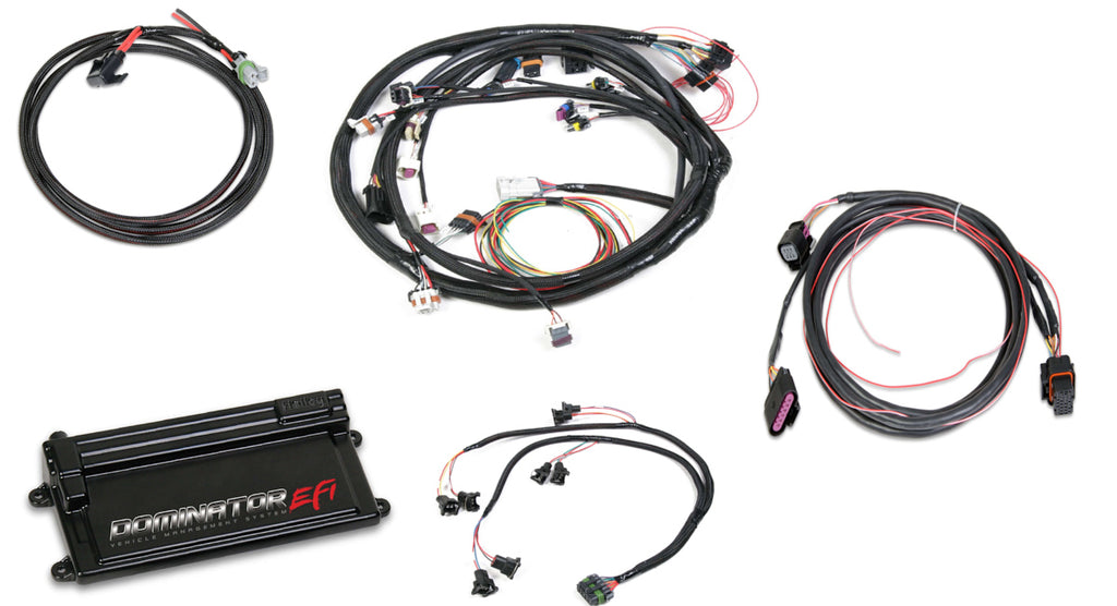 HOLLEY 550-659 - Dominator EFI Kit - LS2 w/DBW image