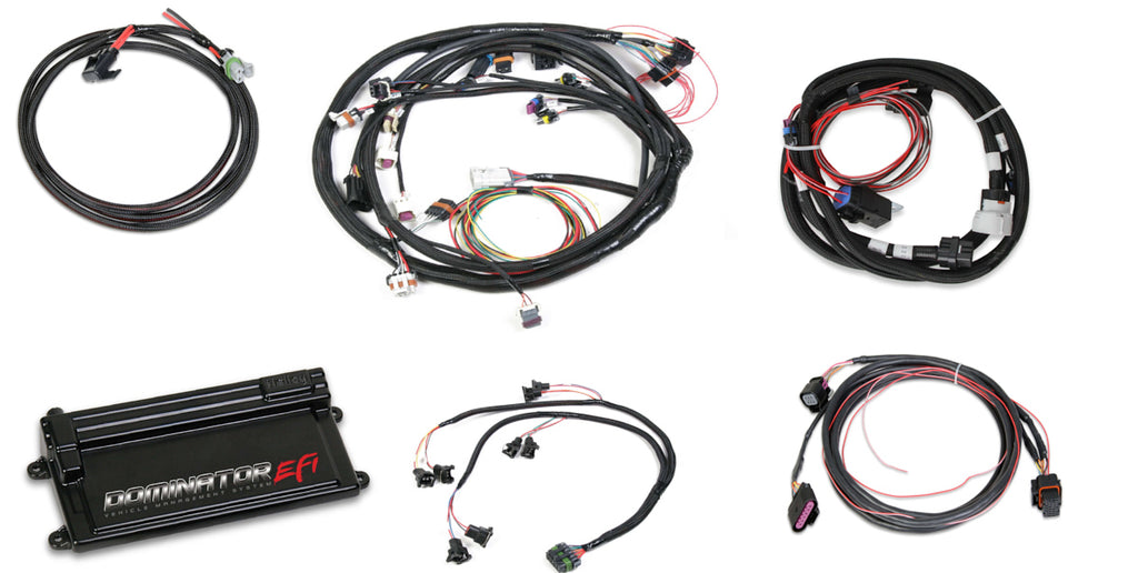 HOLLEY 550-660 - Dominator EFI Kit - LS2 w/Trans Contr & DBW image