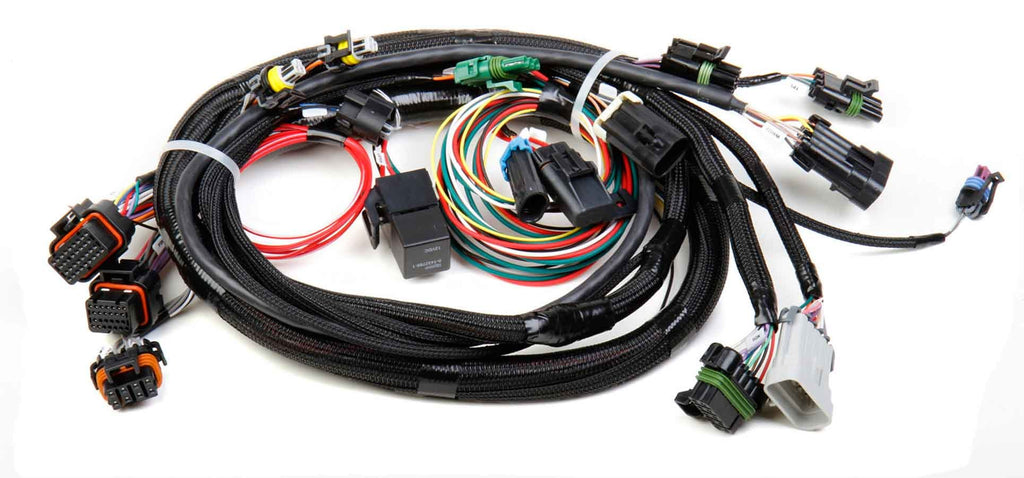 HOLLEY 558-101 - TPI Stealth Ram Main Harness image