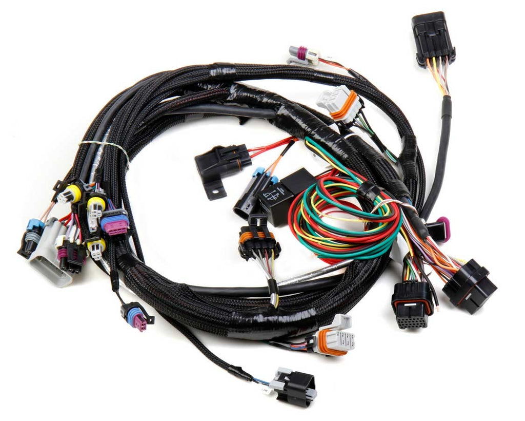 HOLLEY 558-102 - Main Wiring Harness LS1 & LS6 image