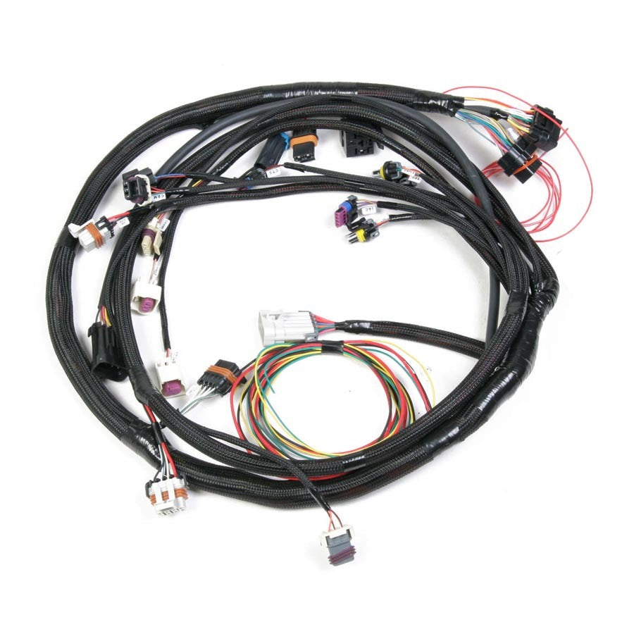 HOLLEY 558-103 - Main Wiring Harness LS2 & LS3 image