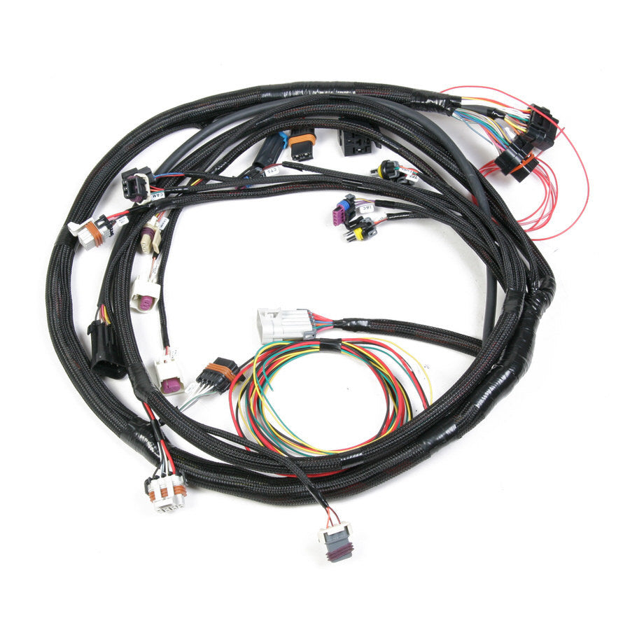 HOLLEY 558-104 - Main Harness - Universal MPFI image