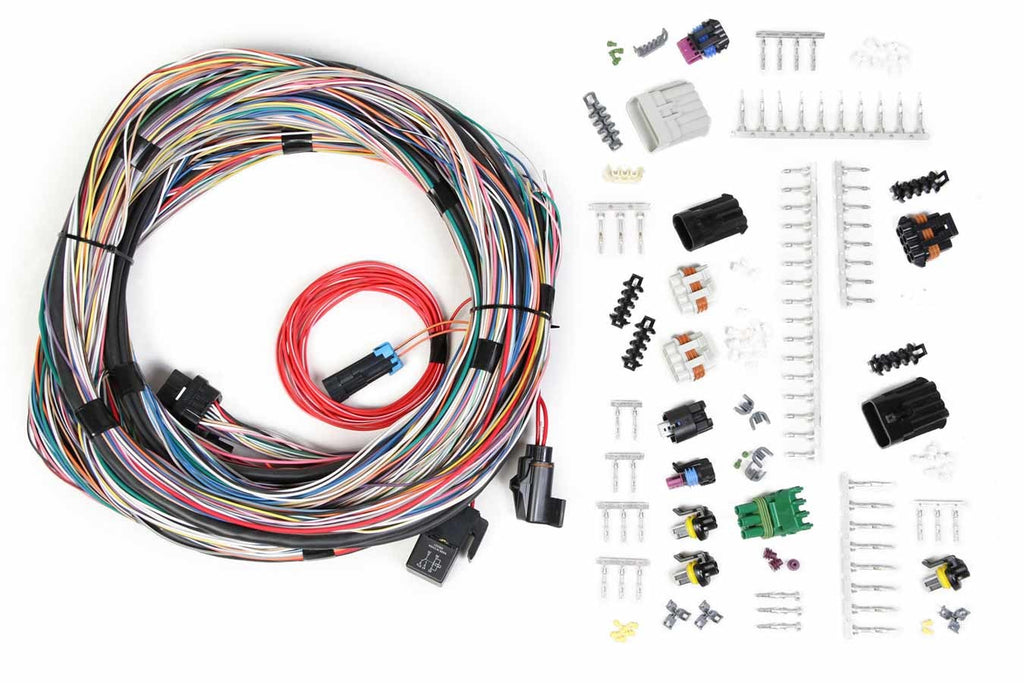 HOLLEY 558-105 - Main Harness - Univesal Un-Terminated image