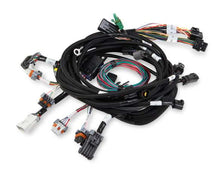 Load image into Gallery viewer, HOLLEY 558-108 - Main Harness 99-04 Ford Modular Engine image